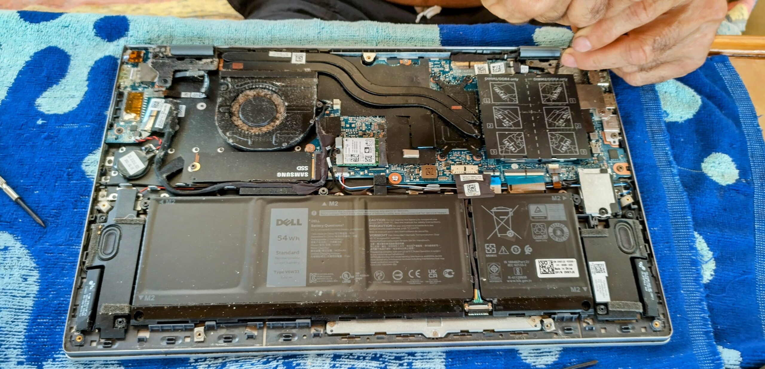 Darwin Repairs