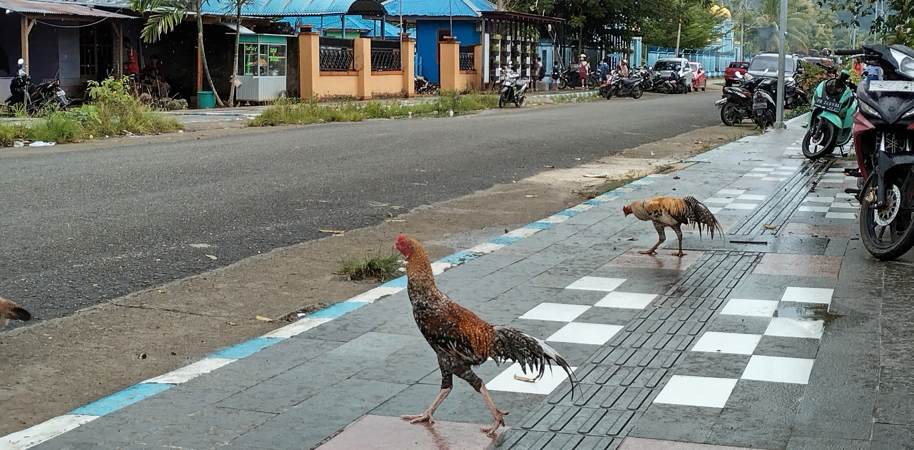 Waisai Streets
