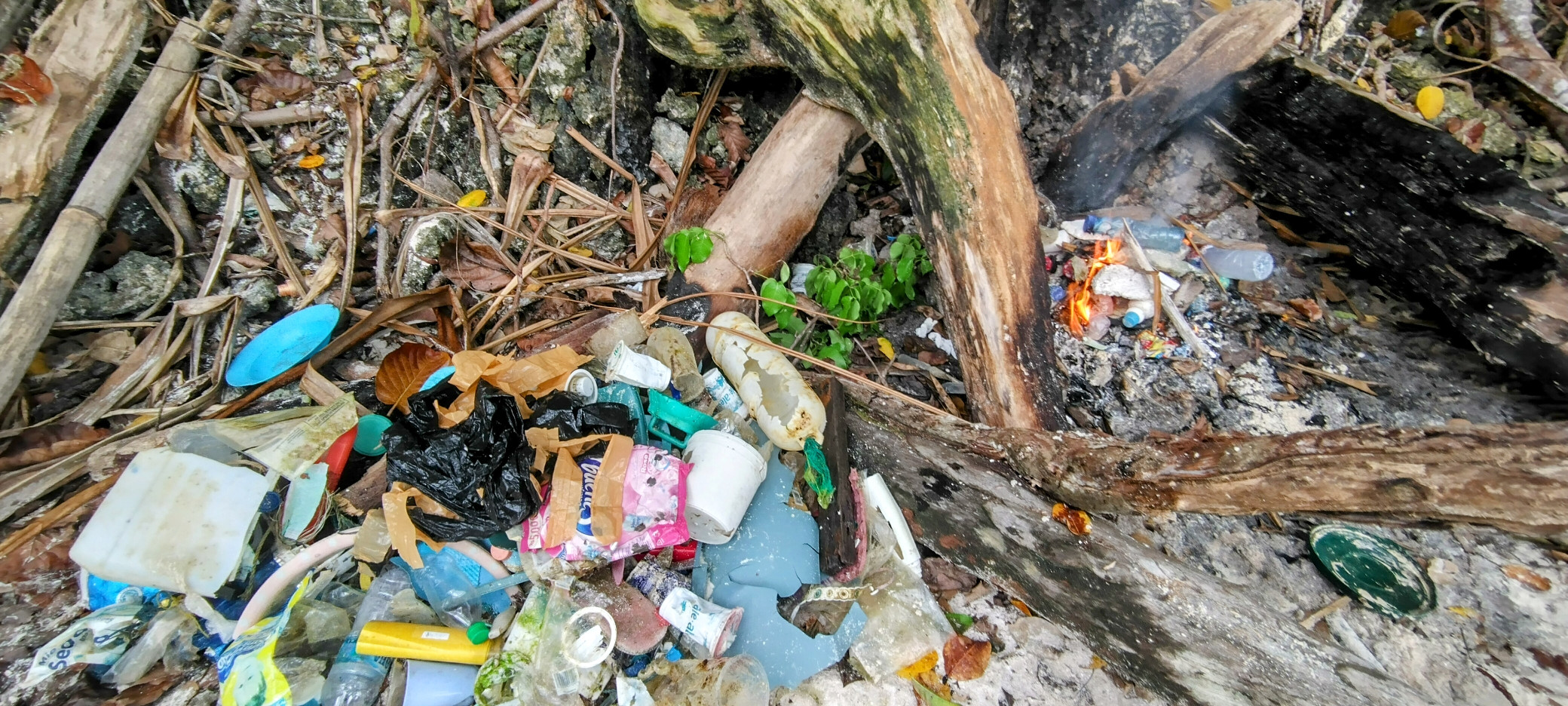 Wayag Plastic