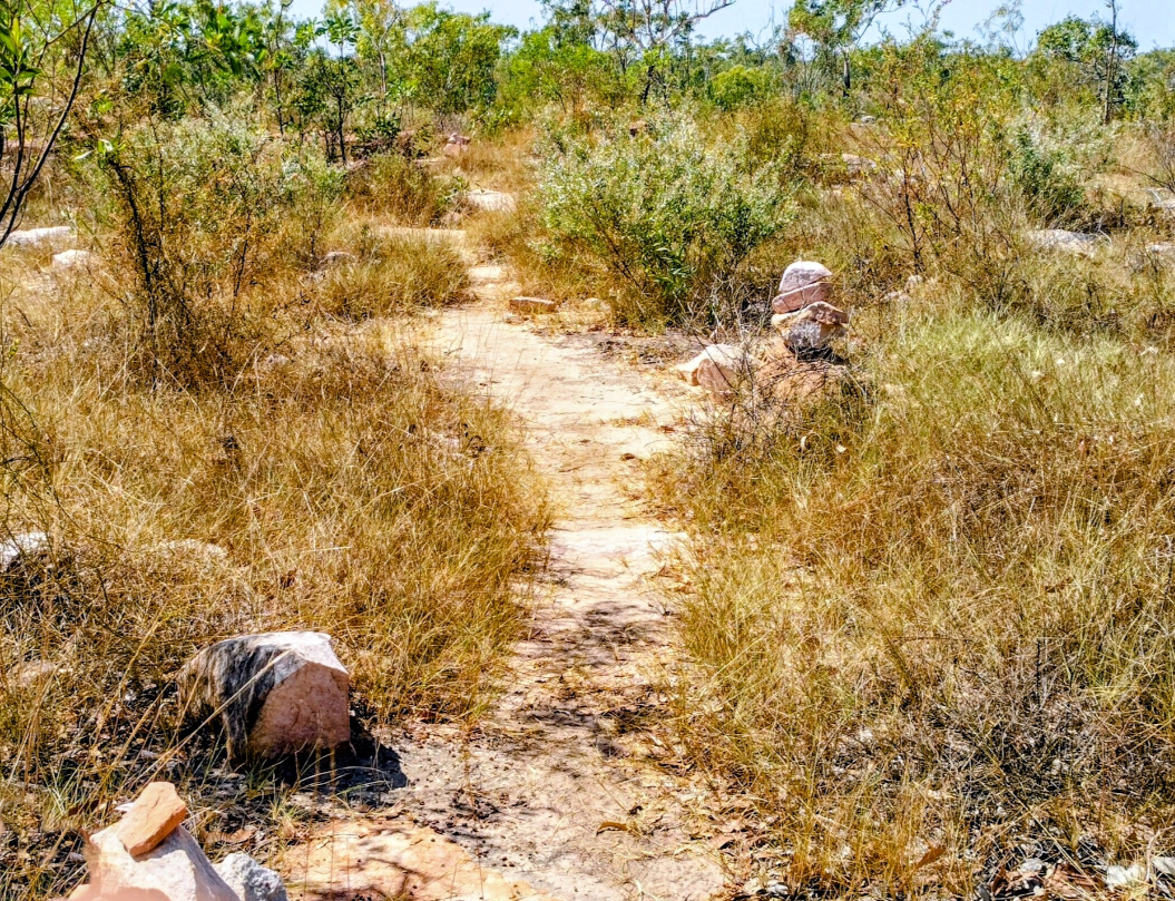 IMG_20250829_130451_HDR~3