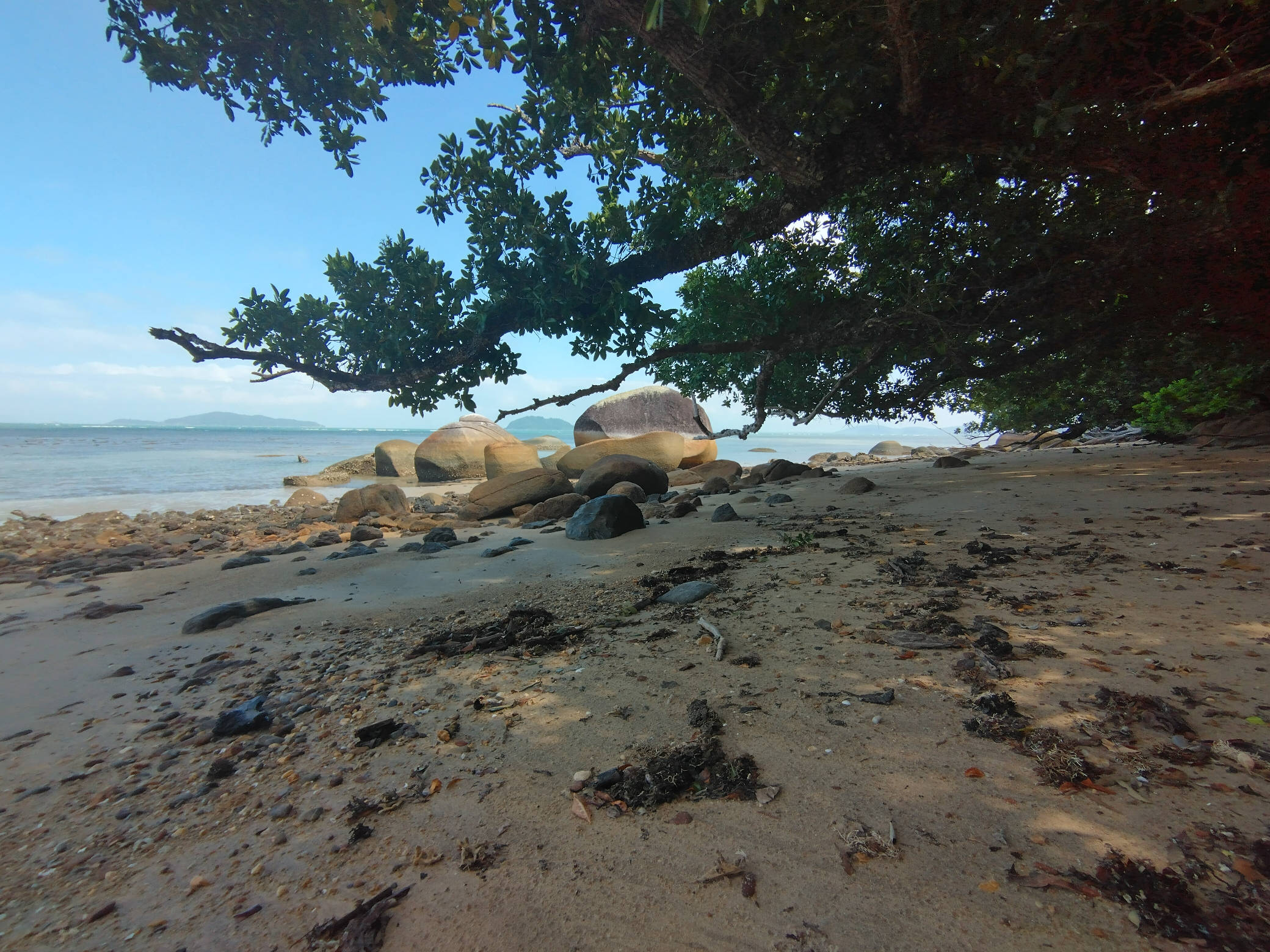 Coconut Beach, Dunk Island