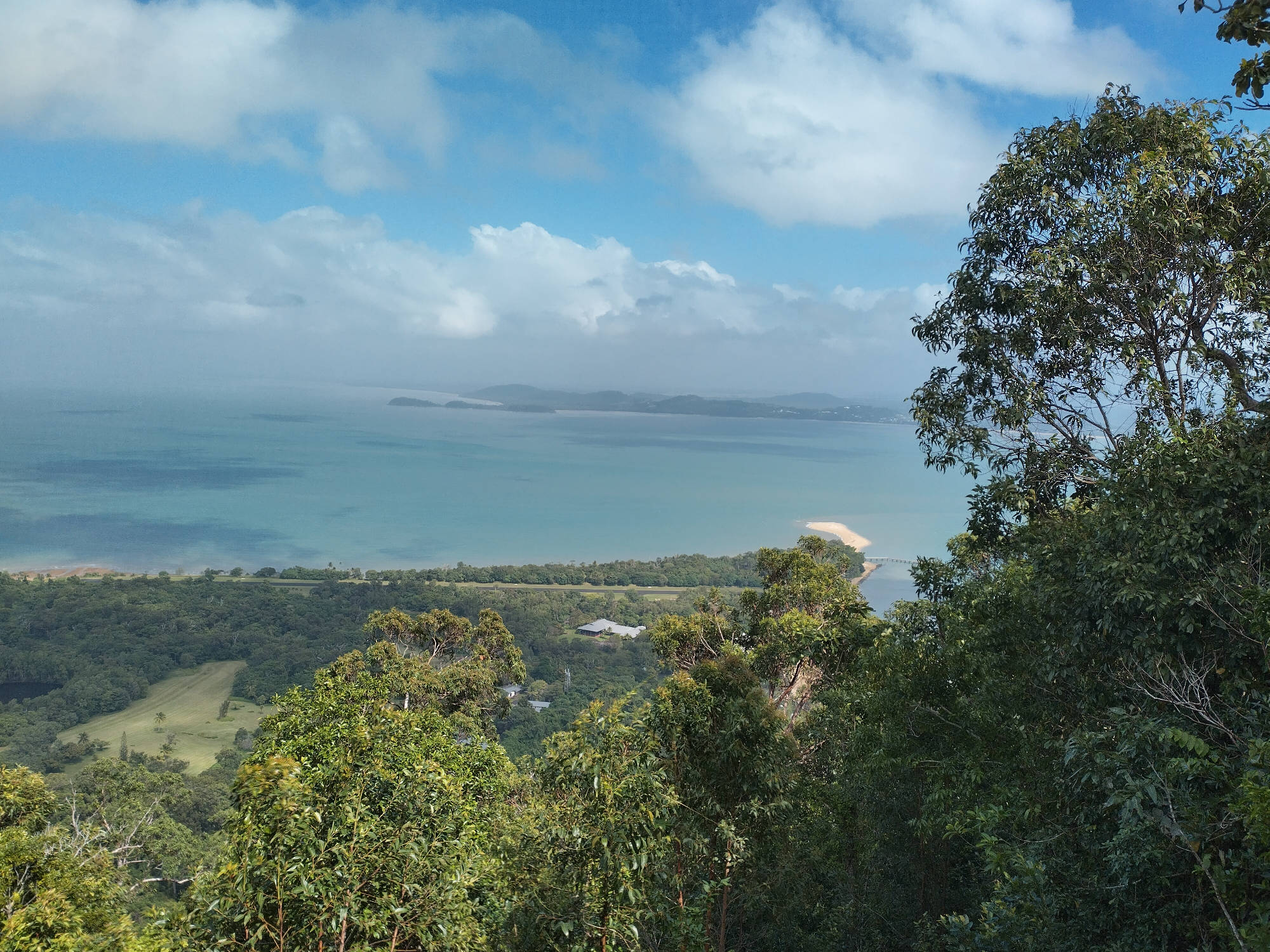 Dunk Island Rainforest