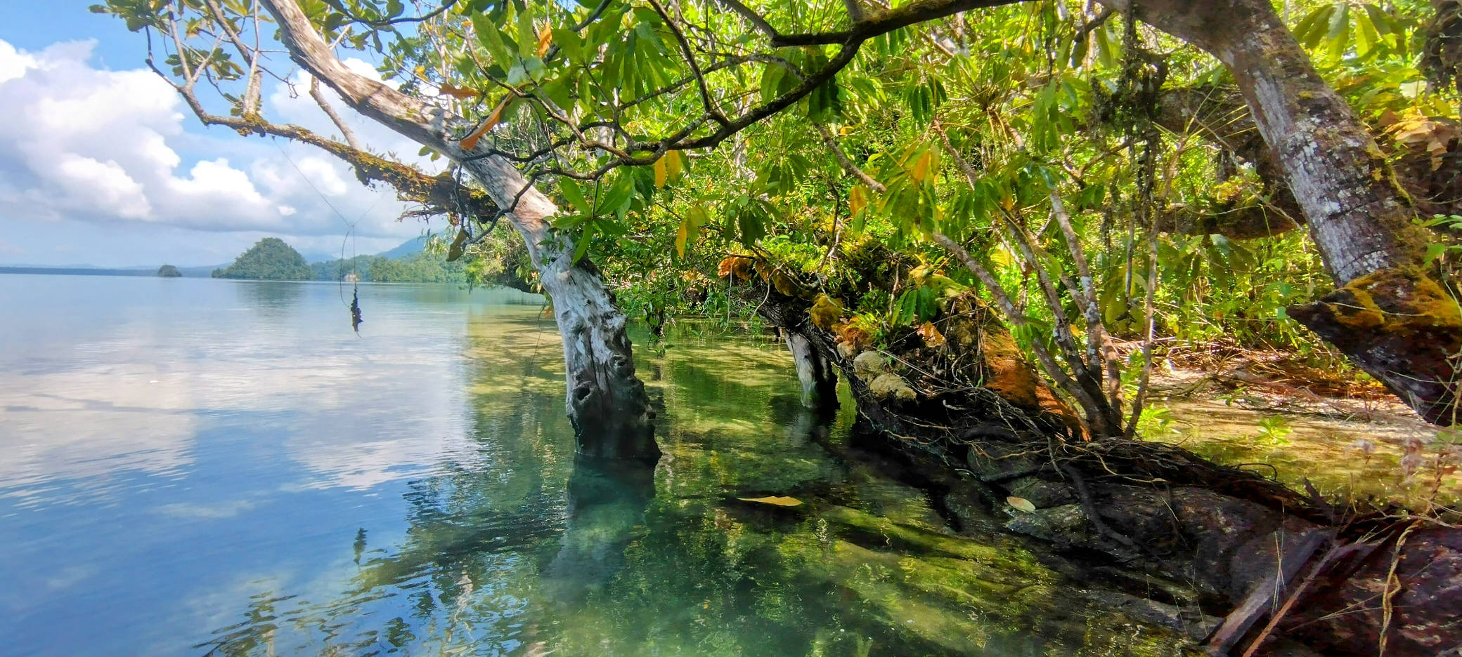 Teluk Mayalibit – Part 2