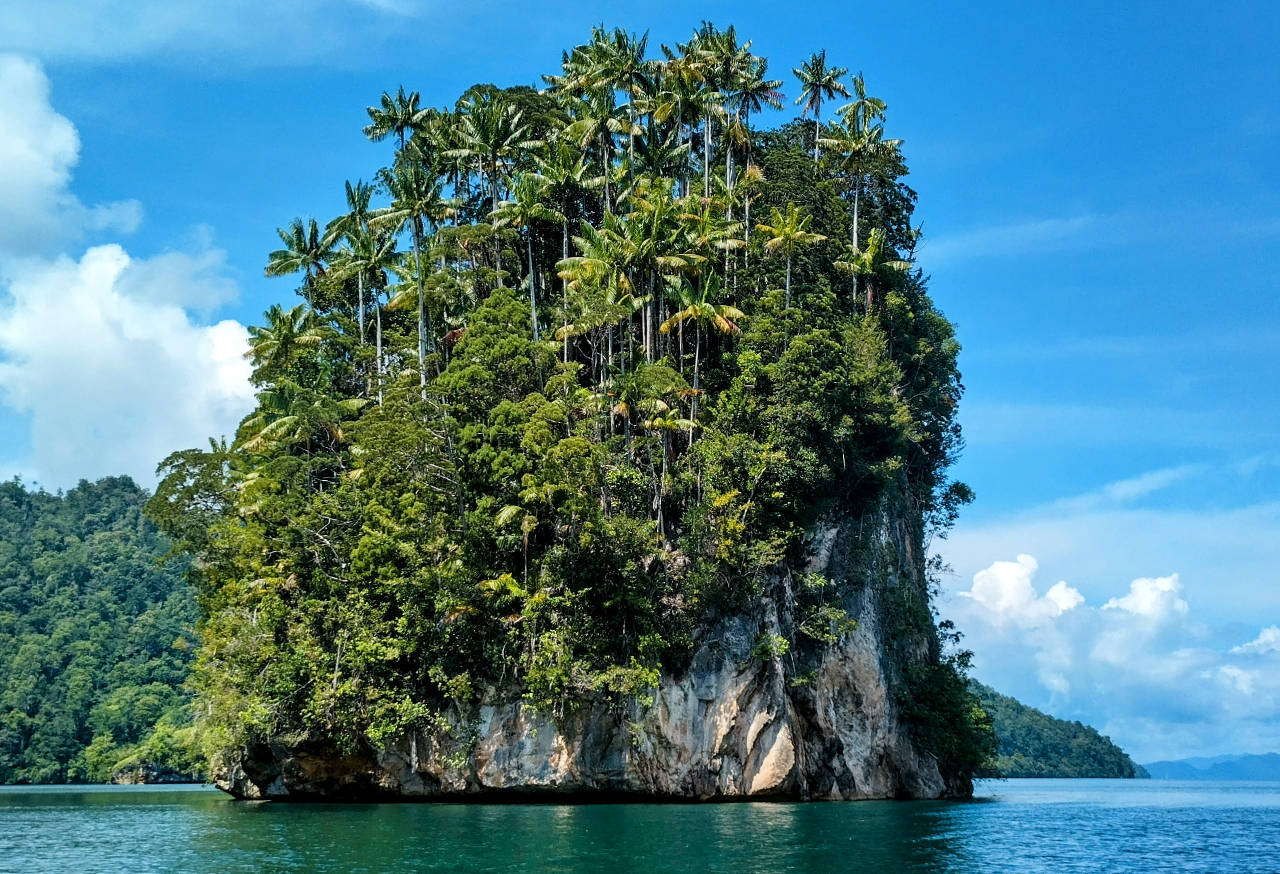 Teluk Mayalibit – Part 3