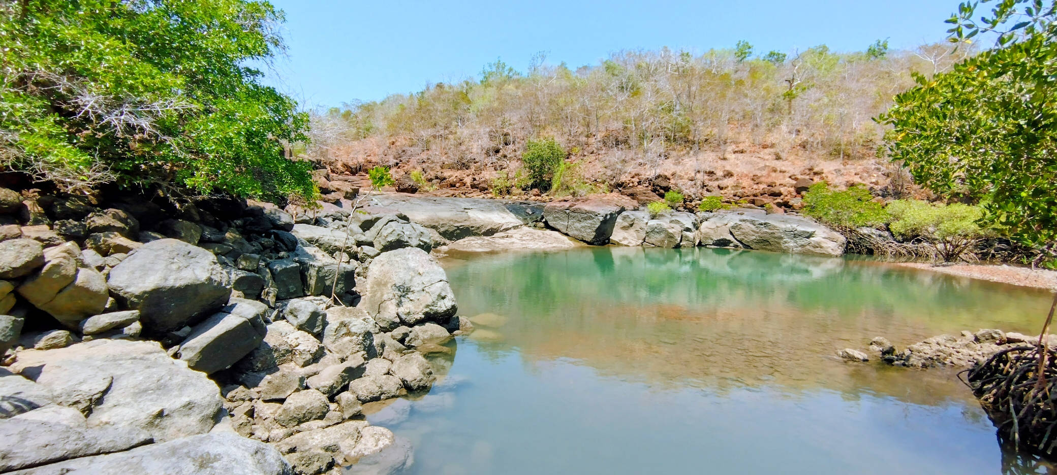 Freshwater Turnaround
