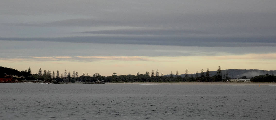 Byron Coast Whale Encounter