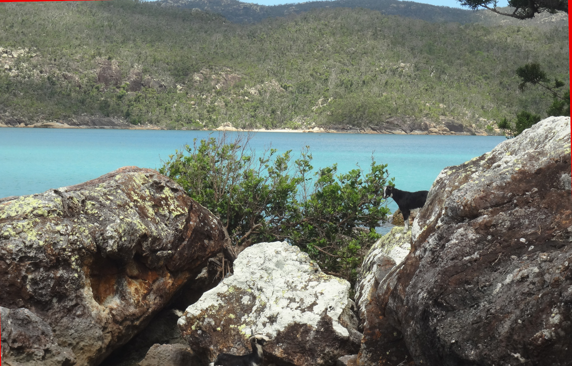 Macona Inlet