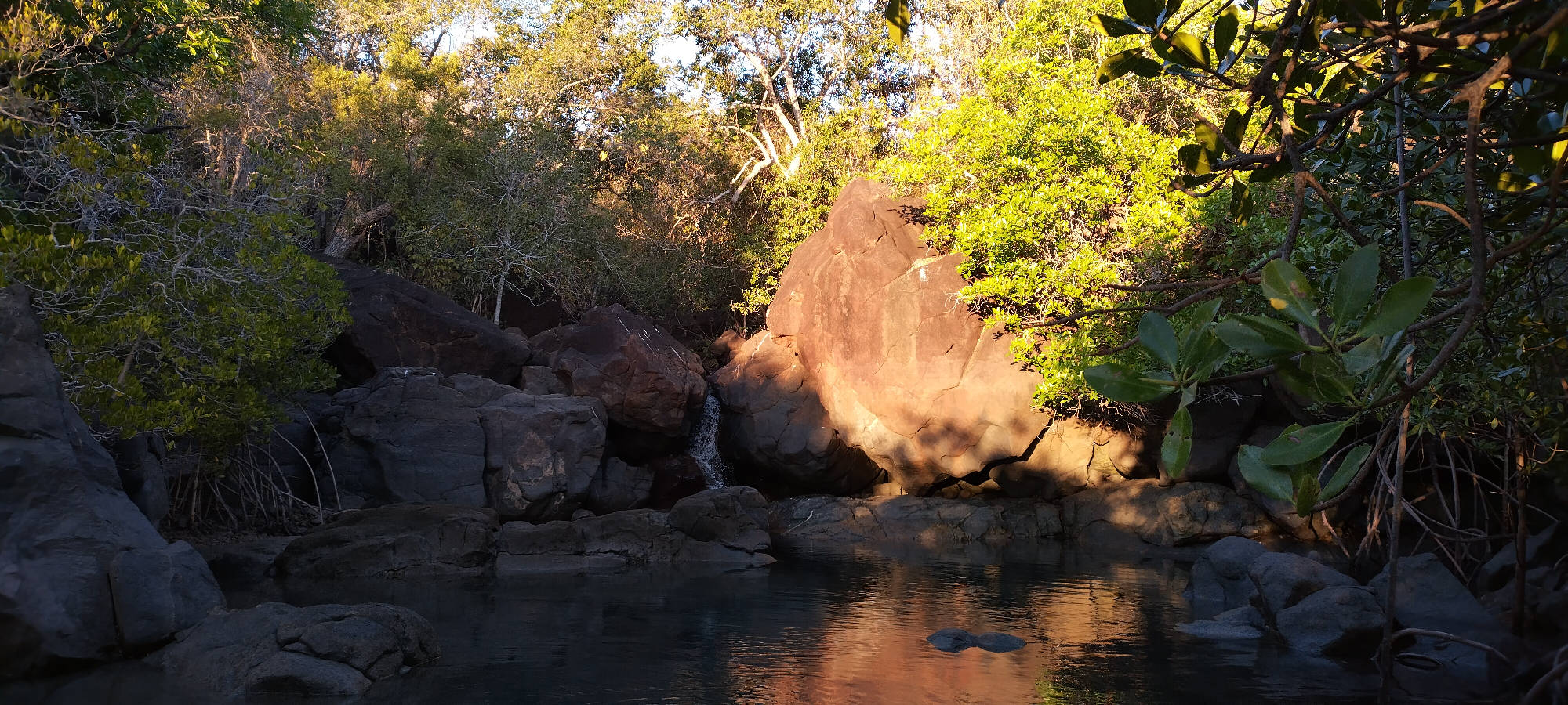 Freshwater